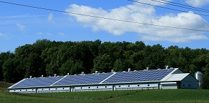 Industria con paneles de energía solar